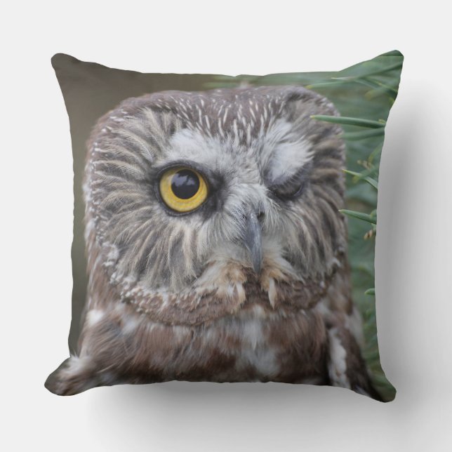 Saw-whet Owl Cushion (Front)