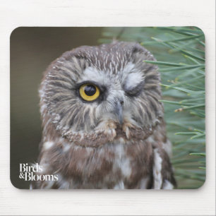 Saw-whet Owl Mouse Mat
