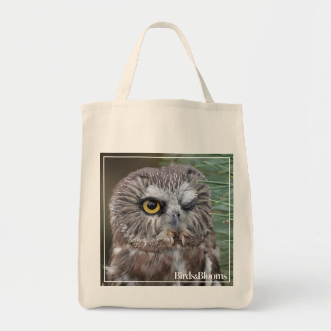 Saw-whet Owl Tote Bag (Front)