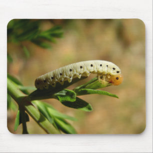 Sawfly Larvae Mouse Mat