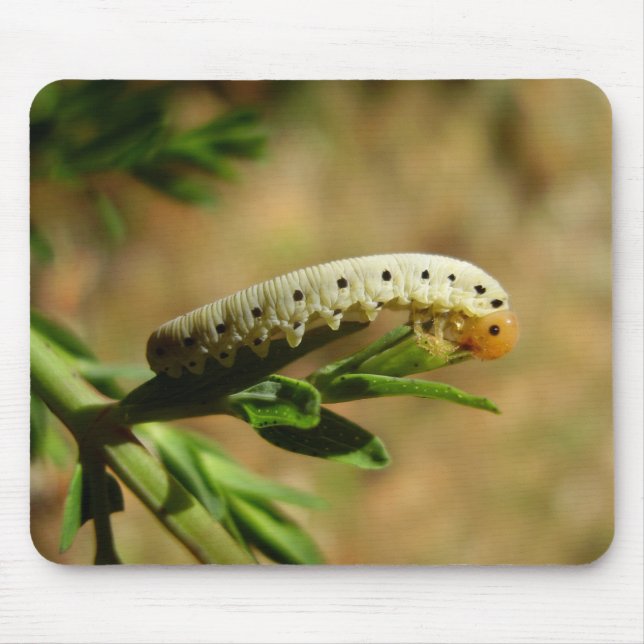 Sawfly Larvae Mouse Mat (Front)