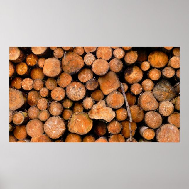 sawn logs poster (Front)