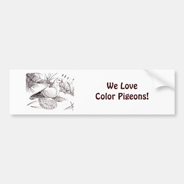 Saxon Field Pigeon Bumper Sticker (Front)