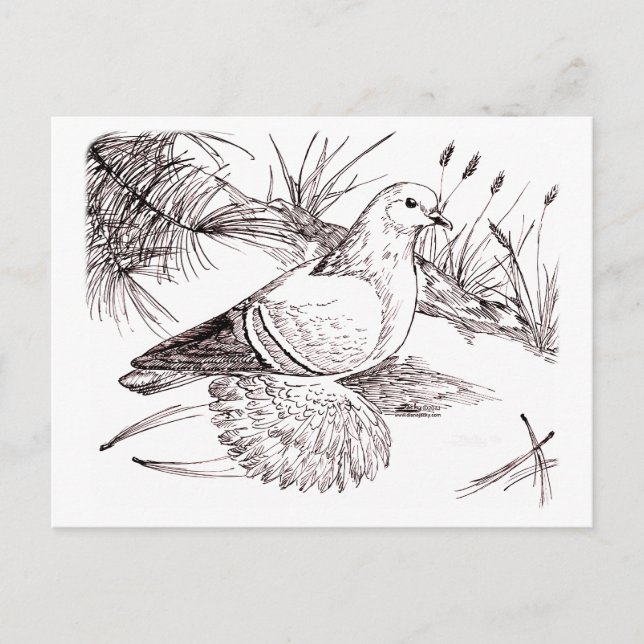 Saxon Field Pigeon Postcard (Front)