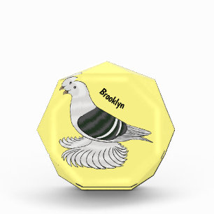 Saxon Shield pigeon bird cartoon illustration Photo Block
