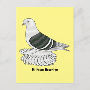 Saxon Shield pigeon bird cartoon illustration Postcard