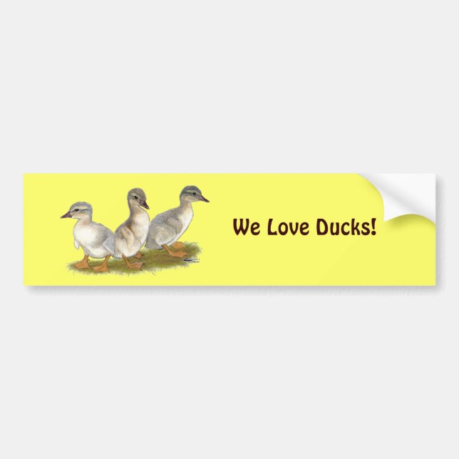 Saxony Ducklings Bumper Sticker (Front)