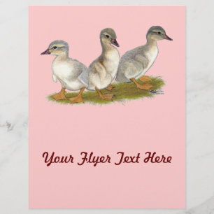 Saxony Ducklings Flyer