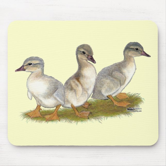 Saxony Ducklings Mouse Mat (Front)