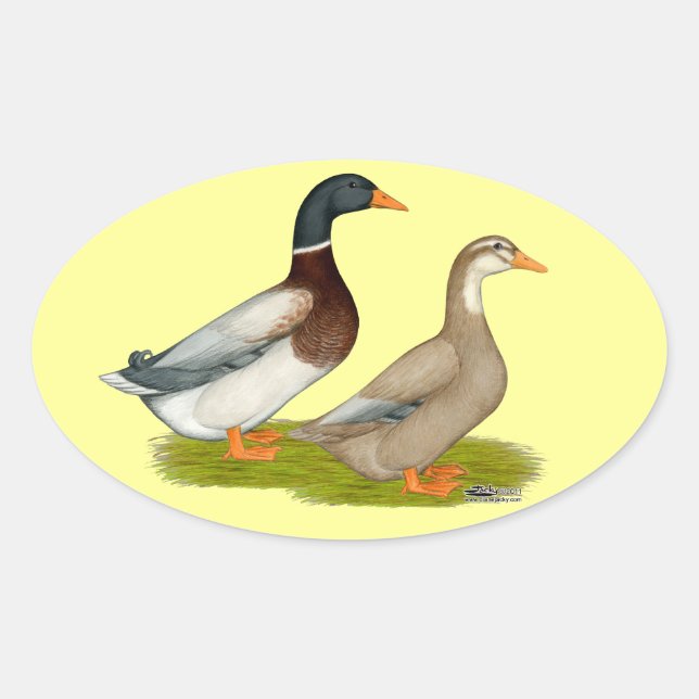 Saxony Ducks Oval Sticker (Front)