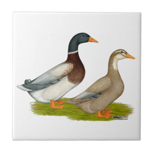 Saxony Ducks Tile