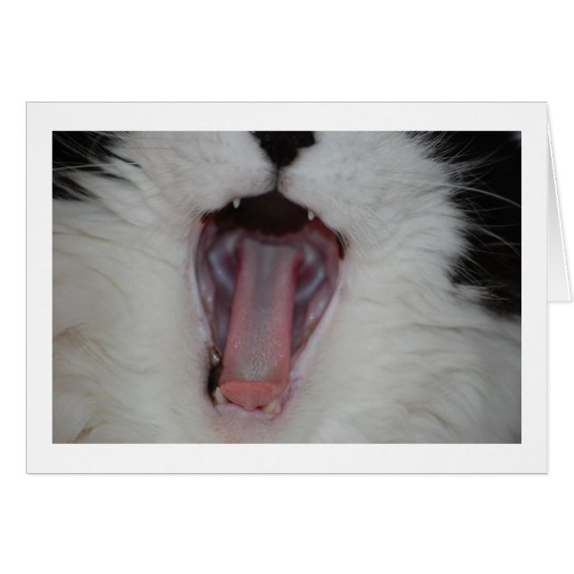 Say Ah/Dentist Humour (Front Horizontal)