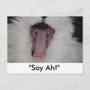 Say Ah!/Dentist Humour Postcard