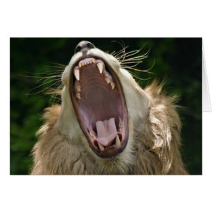 say ahhh