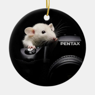 Say Cheese! Ceramic Tree Decoration