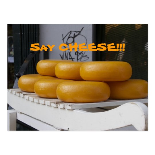 Say Cheese Postcard