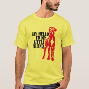 Say Hello To My Little Friend T-Shirt