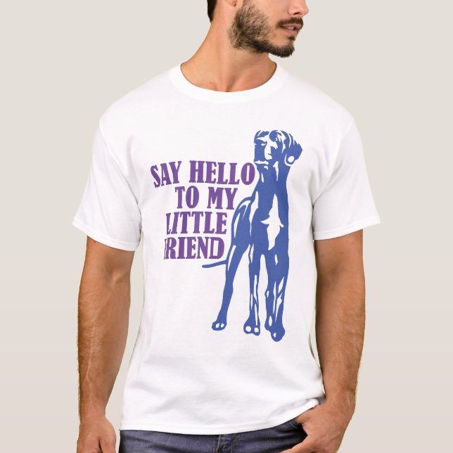 Say Hello To My Little Friend T-Shirt (Front)