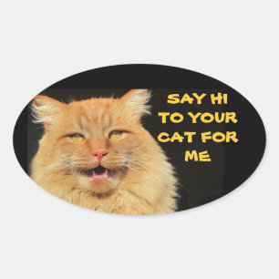 Say Hi To Your Cat Oval Sticker