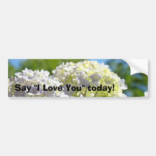 Say I Love You today! bumper stickers Hydrangeas