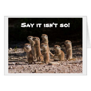SAY IT ISN'T SO, YOU ARE HOW OLD PRAIRIE DOGS ASK