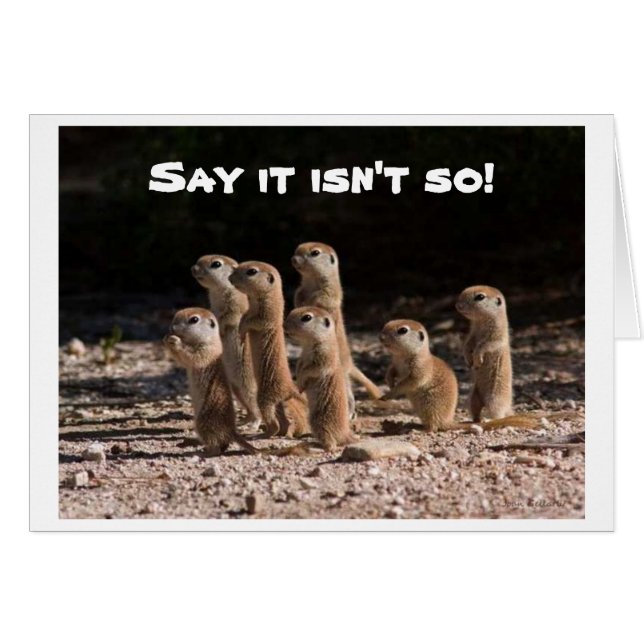 SAY IT ISN'T SO, YOU ARE HOW OLD PRAIRIE DOGS ASK (Front Horizontal)