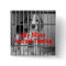 "Say No to Animal Testing" Beagle button pin