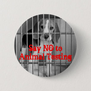 "Say No to Animal Testing" Beagle button pin