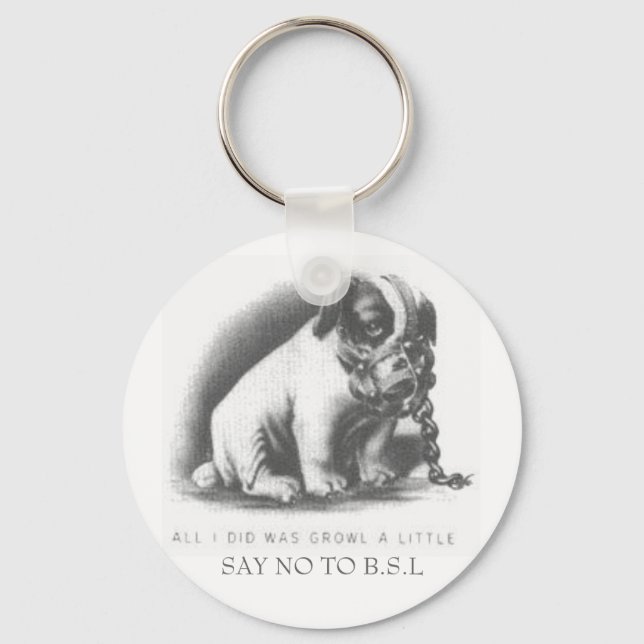SAY NO TO B.S.L KEY RING (Front)