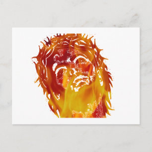 Say no to stupidity & ignorance. End imprisonment. Postcard