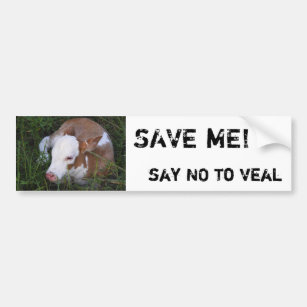 Say NO to Veal bumper sticker