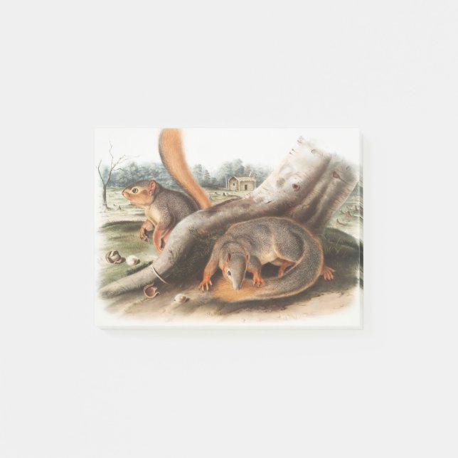 Say Squirrel Girl Boy Pet Giftssquirrel feeder Post-it Notes (Front)