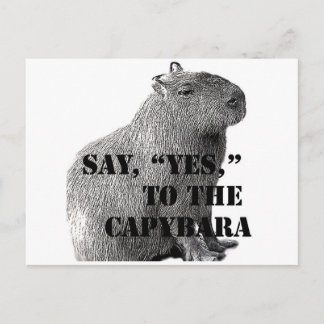 Say, "Yes," To The Capybara Postcard