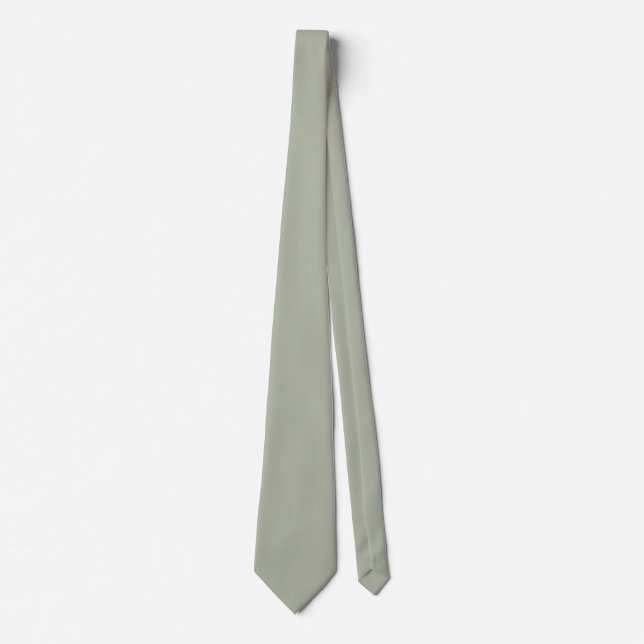Saybrook Sage Solid Color Tie (Front)