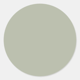 Saybrook Sage Solid Colour Classic Round Sticker