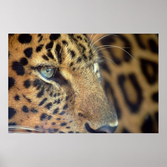 Saying Goodbye... Poster (Front)