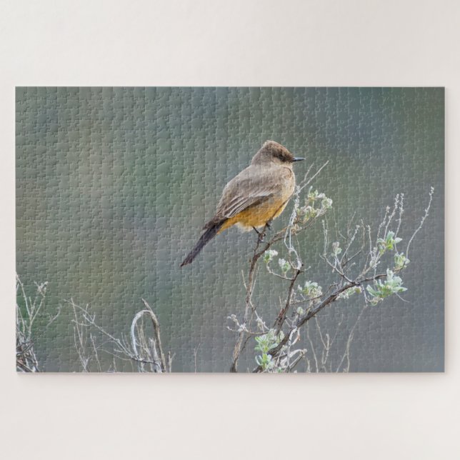 Say's Phoebe in the Sage Jigsaw Puzzle (Horizontal)