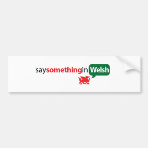 SaySomethinginWelsh Bumper Sticker
