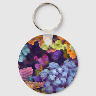 SB Keychain
