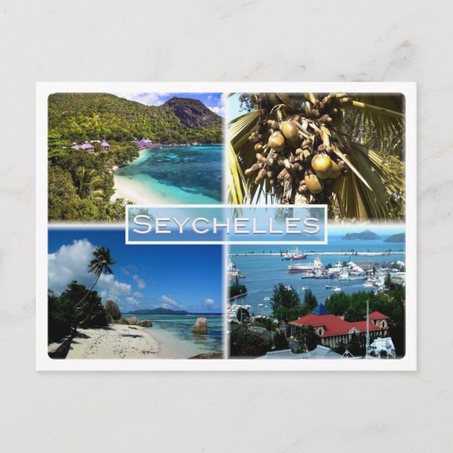 SC Seychelles - Beach Resort - Lodoicea Maldivica Postcard (Front)