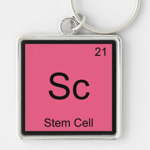 Sc - Stem Cell Funny Chemistry Element Symbol Tee Key Ring