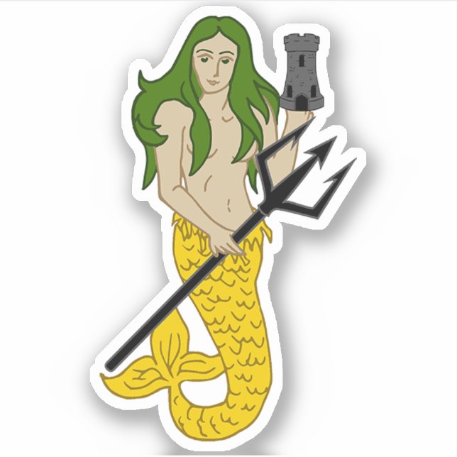 SCA Illiton Custom-Cut Vinyl Sticker (Front)