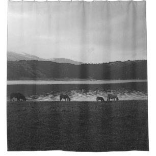 SCALE GREY PHOTOGRAPHY OF ANIMALS SHOWER CURTAIN