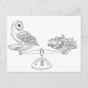 Scale with Barn owl and mice Postcard