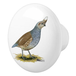 Scaled Quail Ceramic Knob