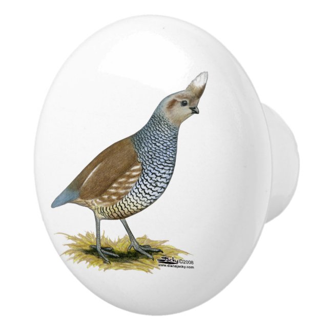 Scaled Quail Ceramic Knob (Right)