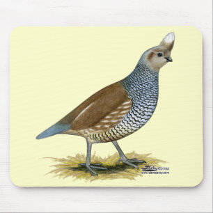 Scaled Quail Mouse Mat