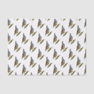 Scaled Quail Tissue Paper
