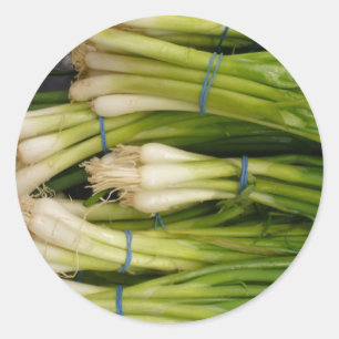 Scallions Classic Round Sticker