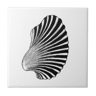 Scallop Shell Block Print, Black and White Tile